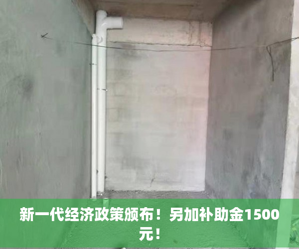 新一代经济政策颁布！另加补助金1500元！