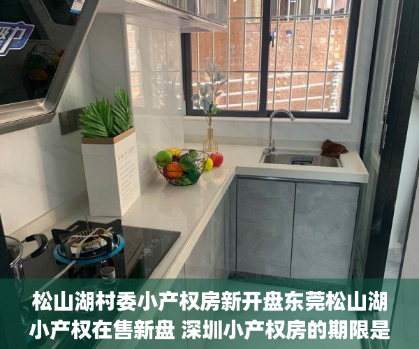 松山湖村委小产权房新开盘东莞松山湖小产权在售新盘 深圳小产权房的期限是多少 东莞松山湖小产权在售新盘_小产权房