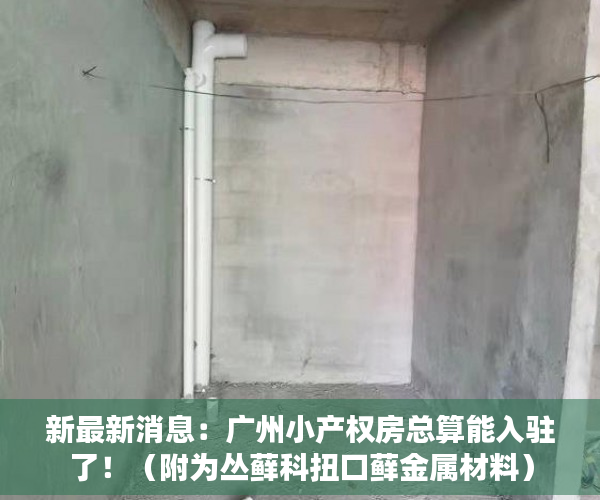 新最新消息：广州小产权房总算能入驻了！（附为丛藓科扭口藓金属材料）