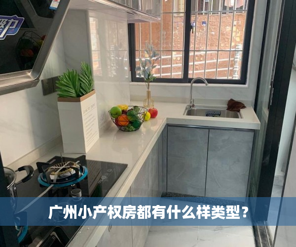 广州小产权房都有什么样类型？