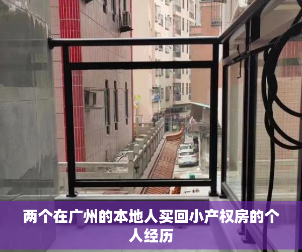 两个在广州的本地人买回小产权房的个人经历