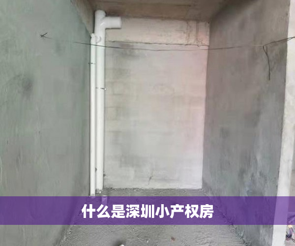 什么是深圳小产权房