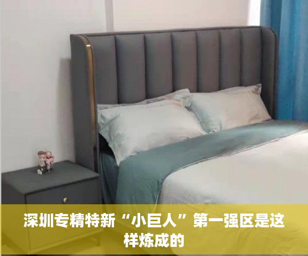 深圳专精特新“小巨人”第一强区是这样炼成的