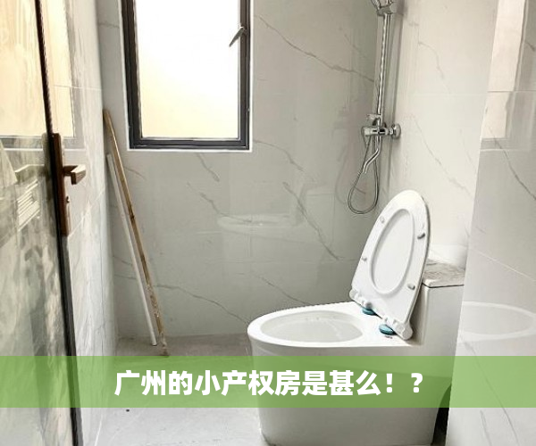 广州的小产权房是甚么！？