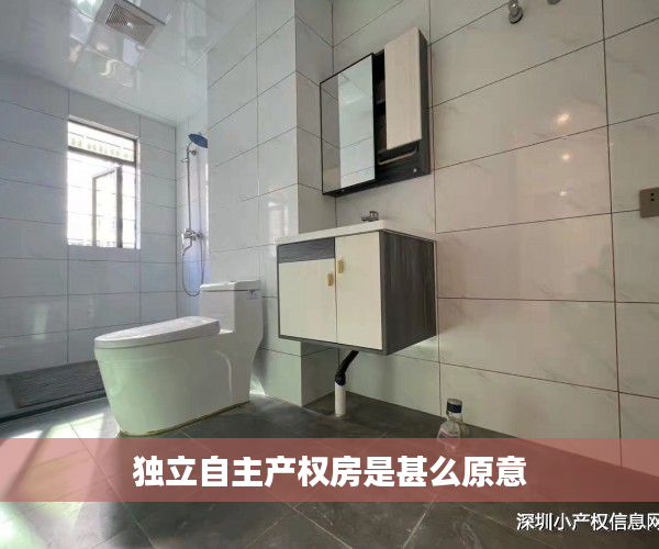 独立自主产权房是甚么原意