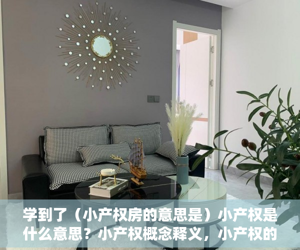 学到了（小产权房的意思是）小产权是什么意思？小产权概念释义，小产权的定义，
