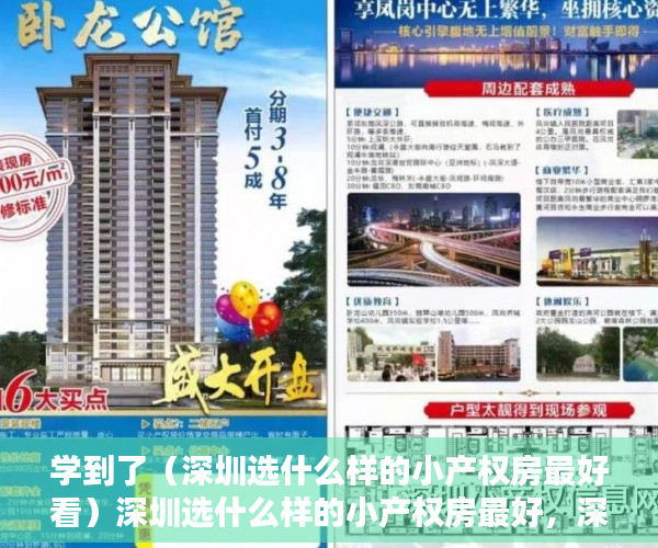 学到了（深圳选什么样的小产权房最好看）深圳选什么样的小产权房最好，深圳有哪些比较好的小产权房，