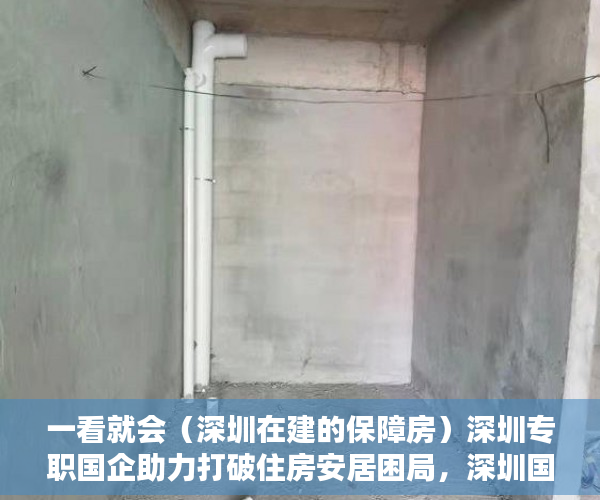 一看就会（深圳在建的保障房）深圳专职国企助力打破住房安居困局，深圳国企地产，