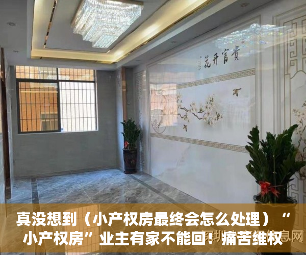 真没想到（小产权房最终会怎么处理）“小产权房”业主有家不能回！痛苦维权无人理，小产权房问题解决，