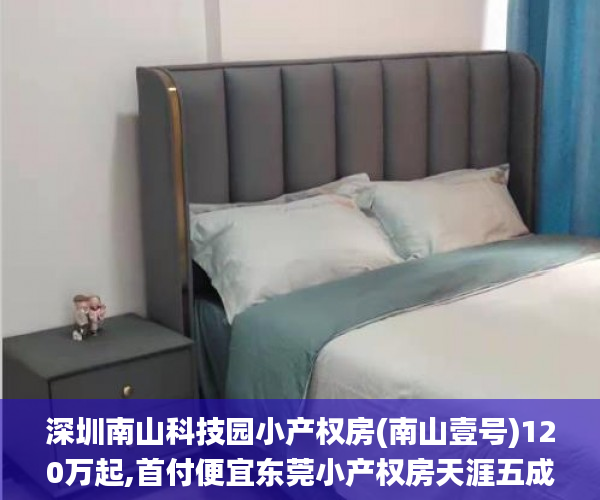 深圳南山科技园小产权房(南山壹号)120万起,首付便宜东莞小产权房天涯五成,分期三到五年小产权房_南山