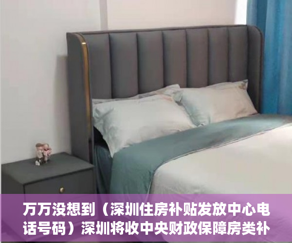 万万没想到（深圳住房补贴发放中心电话号码）深圳将收中央财政保障房类补助，专家：增加保障类住房比开征房地产税更为切实，深圳住房补贴发放中心电话是多少，