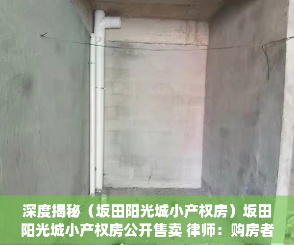 深度揭秘（坂田阳光城小产权房）坂田阳光城小产权房公开售卖 律师：购房者需谨慎，板田阳光城小产权，