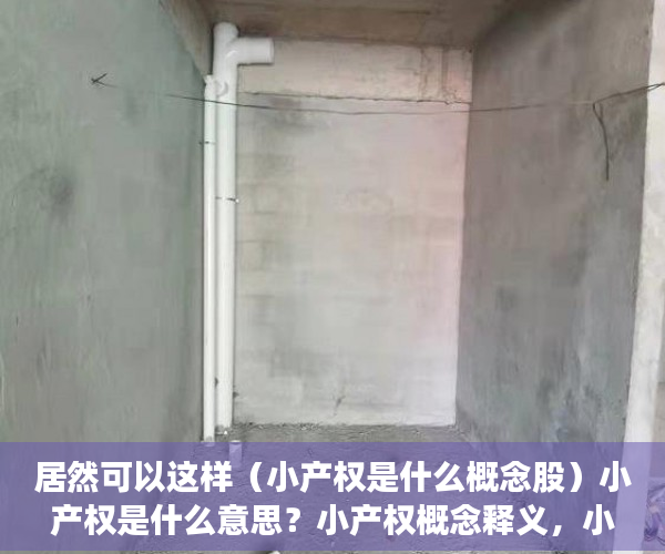 居然可以这样（小产权是什么概念股）小产权是什么意思？小产权概念释义，小产权房子是什么概念，