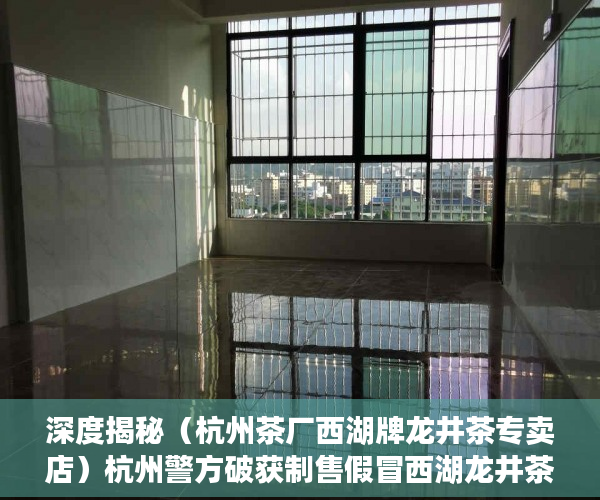 深度揭秘（杭州茶厂西湖牌龙井茶专卖店）杭州警方破获制售假冒西湖龙井茶案，西湖龙井茶怎么卖，