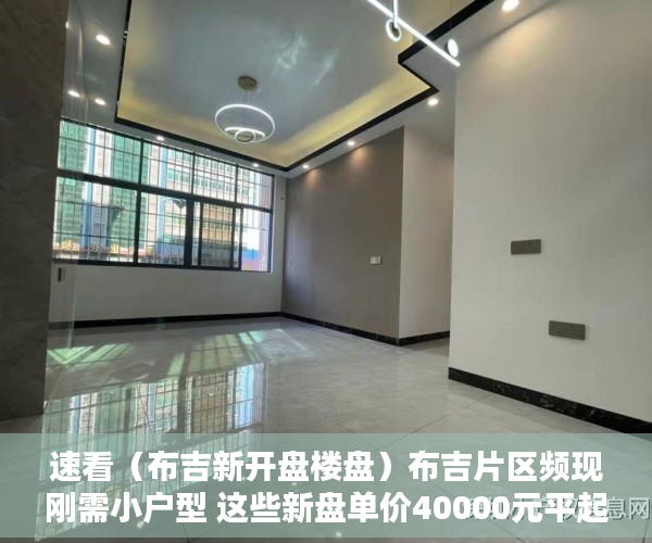 速看（布吉新开盘楼盘）布吉片区频现刚需小户型 这些新盘单价40000元平起，布吉高档楼盘，