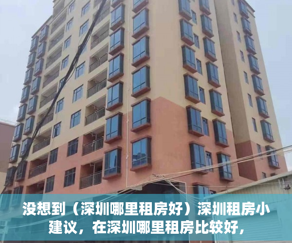 没想到（深圳哪里租房好）深圳租房小建议，在深圳哪里租房比较好，