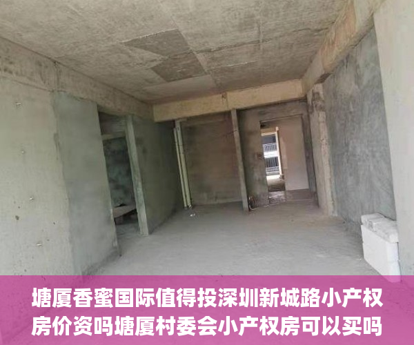 塘厦香蜜国际值得投深圳新城路小产权房价资吗塘厦村委会小产权房可以买吗  小产权_小产权房