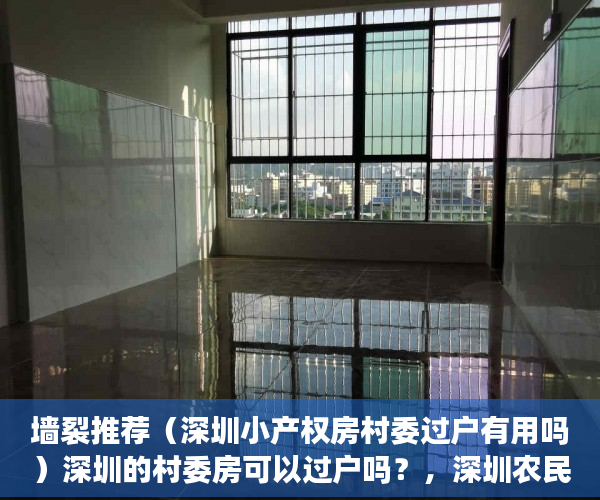 墙裂推荐（深圳小产权房村委过户有用吗）深圳的村委房可以过户吗？，深圳农民房可以过户吗，