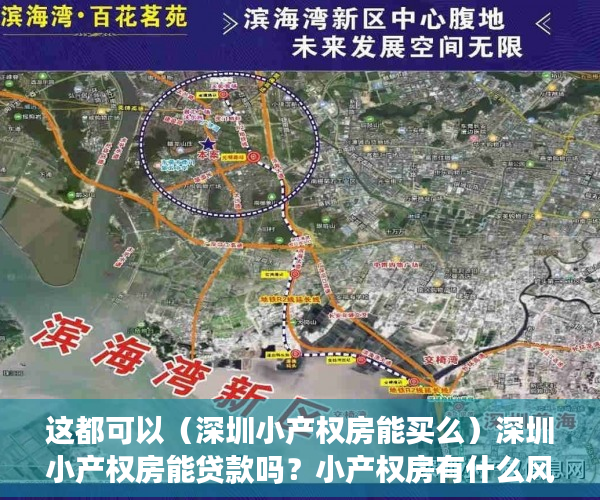 这都可以（深圳小产权房能买么）深圳小产权房能贷款吗？小产权房有什么风险？，现在深圳小产权房能买吗，