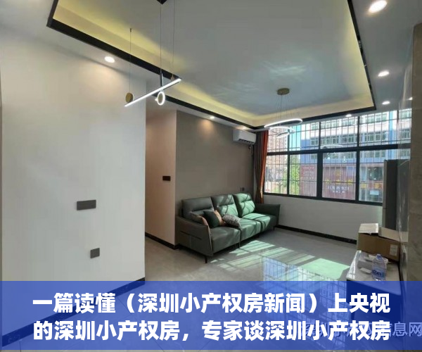 一篇读懂（深圳小产权房新闻）上央视的深圳小产权房，专家谈深圳小产权房的未来，