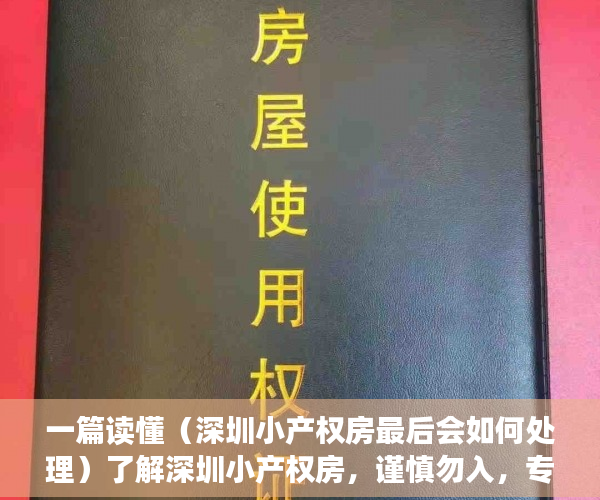 一篇读懂（深圳小产权房最后会如何处理）了解深圳小产权房，谨慎勿入，专家谈深圳小产权房的未来，