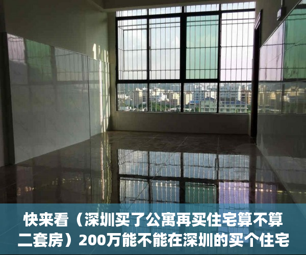 快来看（深圳买了公寓再买住宅算不算二套房）200万能不能在深圳的买个住宅两房？(首套拒绝公寓，永不考虑小产权)？，深圳买公寓要求，