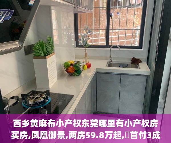 西乡黄麻布小产权东莞哪里有小产权房买房,凤凰御景,两房59.8万起,​首付3成，分期10年小产权房_东莞小产权房