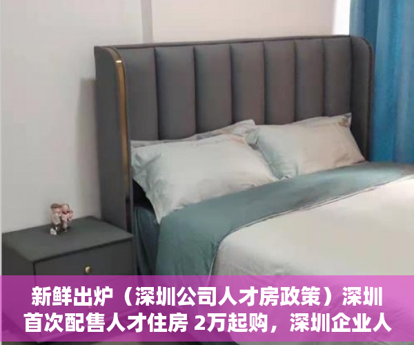 新鲜出炉（深圳公司人才房政策）深圳首次配售人才住房 2万起购，深圳企业人才房配售条件要求，
