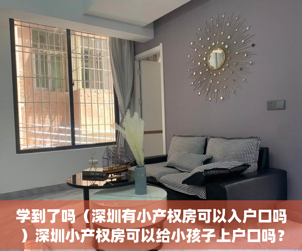 学到了吗（深圳有小产权房可以入户口吗）深圳小产权房可以给小孩子上户口吗？，深圳小产权能上户口吗，