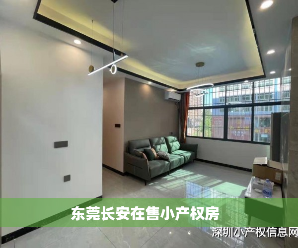 东莞长安在售小产权房  