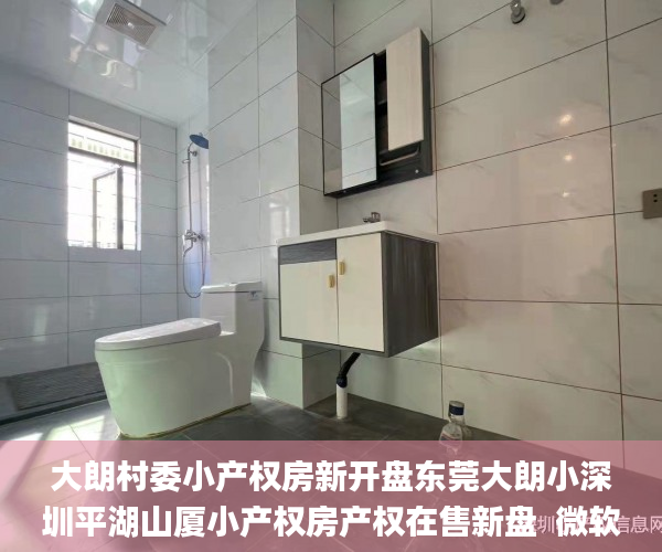 大朗村委小产权房新开盘东莞大朗小深圳平湖山厦小产权房产权在售新盘  微软_小产权房