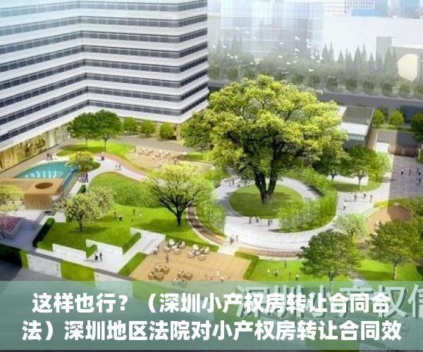这样也行？（深圳小产权房转让合同合法）深圳地区法院对小产权房转让合同效力认定的态度演变及法律困境，深圳小产权房可以转让吗，