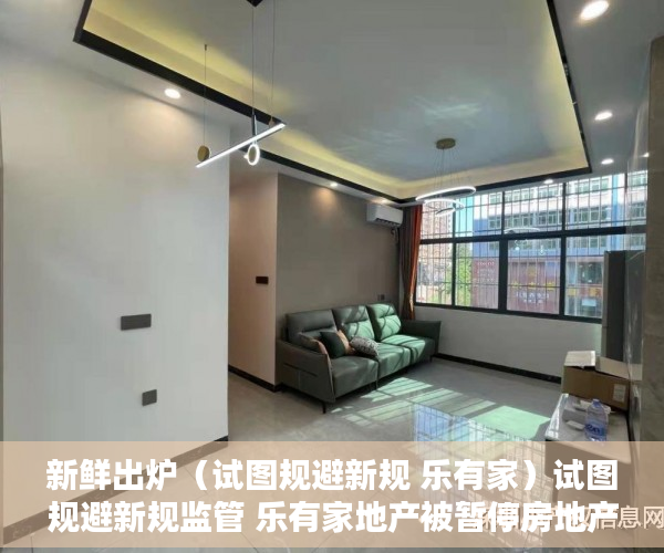 新鲜出炉（试图规避新规 乐有家）试图规避新规监管 乐有家地产被暂停房地产信息平台权限，试图规避新规，
