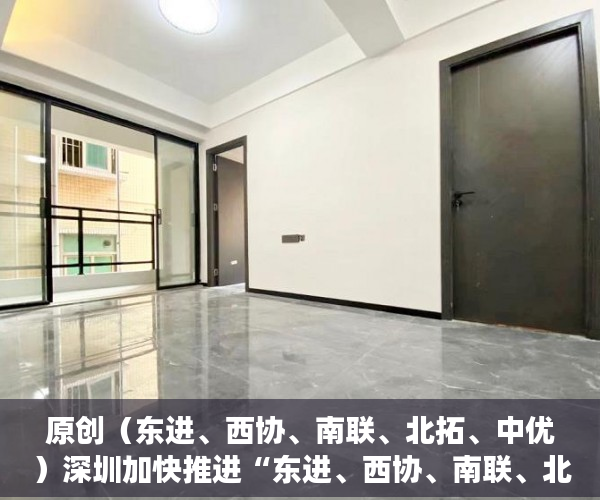原创（东进、西协、南联、北拓、中优）深圳加快推进“东进、西协、南联、北拓、中优”发展战略，东进西控南拓北优，