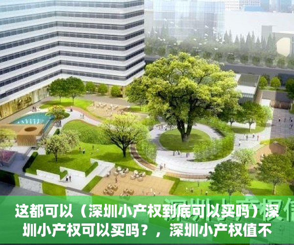 这都可以（深圳小产权到底可以买吗）深圳小产权可以买吗？，深圳小产权值不值得买，