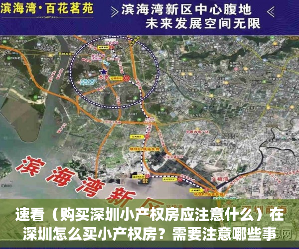 速看（购买深圳小产权房应注意什么）在深圳怎么买小产权房？需要注意哪些事项？，深圳小产权房购买注意事项，