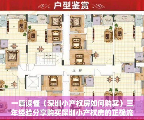 一篇读懂（深圳小产权房如何购买）三年经验分享购买深圳小产权房的正确流程是什么样子的？，深圳买小产权房注意事项和手续，