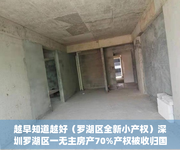 越早知道越好（罗湖区全新小产权）深圳罗湖区一无主房产70%产权被收归国有，深圳市罗湖区房产，