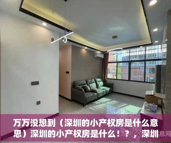 万万没想到（深圳的小产权房是什么意思）深圳的小产权房是什么！？，深圳的小产权房是什么样的，