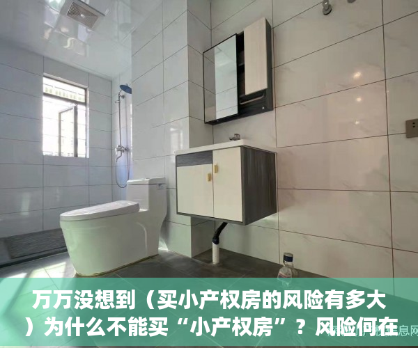 万万没想到（买小产权房的风险有多大）为什么不能买“小产权房”？风险何在？，买小产权房的风险大吗，