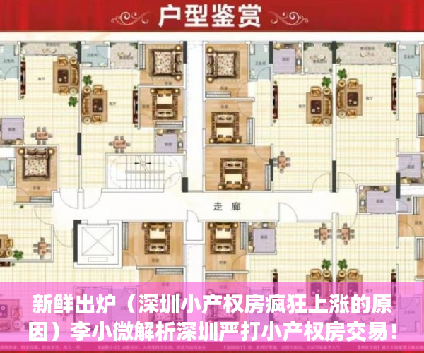 新鲜出炉（深圳小产权房疯狂上涨的原因）李小微解析深圳严打小产权房交易！，深圳小产权房大涨，