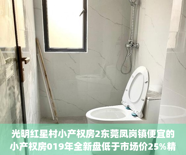 光明红星村小产权房2东莞凤岗镇便宜的小产权房019年全新盘低于市场价25%精装修交房小产权房_小产权
