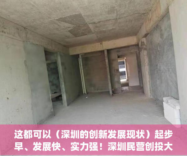 这都可以（深圳的创新发展现状）起步早、发展快、实力强！深圳民营创投大放异彩丨深圳创投“三原色”系列（02），深圳的创新发展历程，