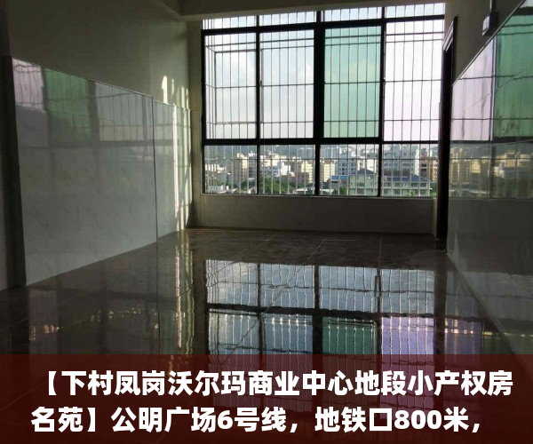 【下村凤岗沃尔玛商业中心地段小产权房名苑】公明广场6号线，地铁口800米， 村委绿本最便宜的村深圳小产权房_深圳小产权