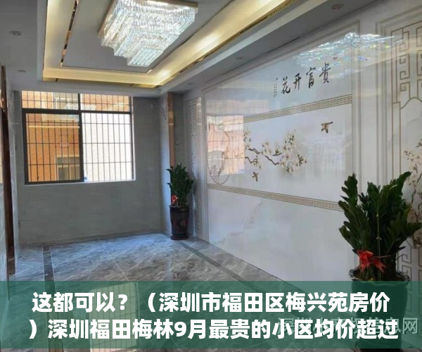 这都可以？（深圳市福田区梅兴苑房价）深圳福田梅林9月最贵的小区均价超过9万平，均价65135元平，深圳梅山苑是什么房型，