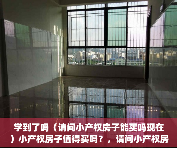 学到了吗（请问小产权房子能买吗现在）小产权房子值得买吗？，请问小产权房子能买吗多少钱，