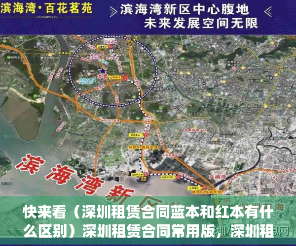 快来看（深圳租赁合同蓝本和红本有什么区别）深圳租赁合同常用版，深圳租赁合同蓝本没得半之后去签合同有那个信息编号吗，