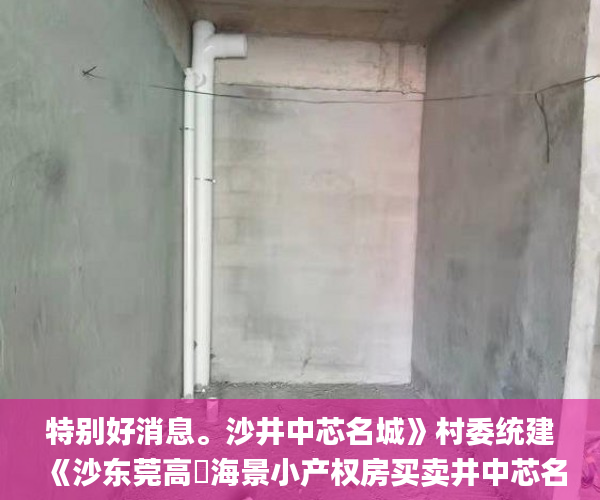 特别好消息。沙井中芯名城》村委统建《沙东莞高埗海景小产权房买卖井中芯名城》**《中芯名城》  小产权房_东莞小产权房