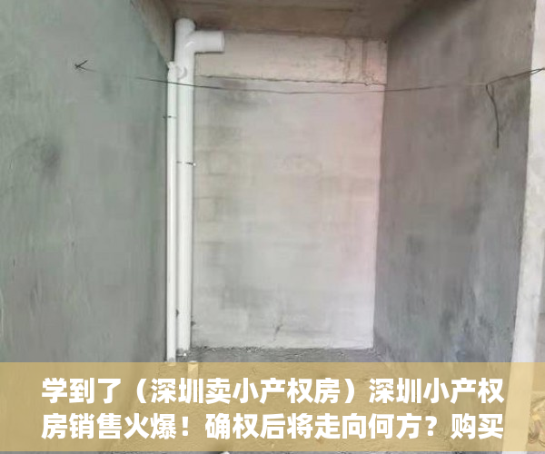 学到了（深圳卖小产权房）深圳小产权房销售火爆！确权后将走向何方？购买者是这么想的……，深圳这么多小产权房何去何从，
