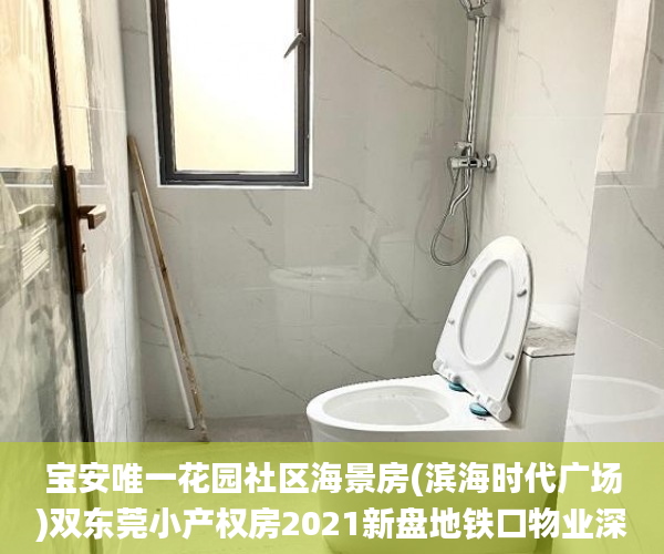 宝安唯一花园社区海景房(滨海时代广场)双东莞小产权房2021新盘地铁口物业深圳东莞虎门最有保障的小产权_滨海